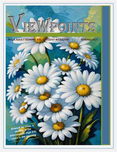 Viewpoints Magazine 2024